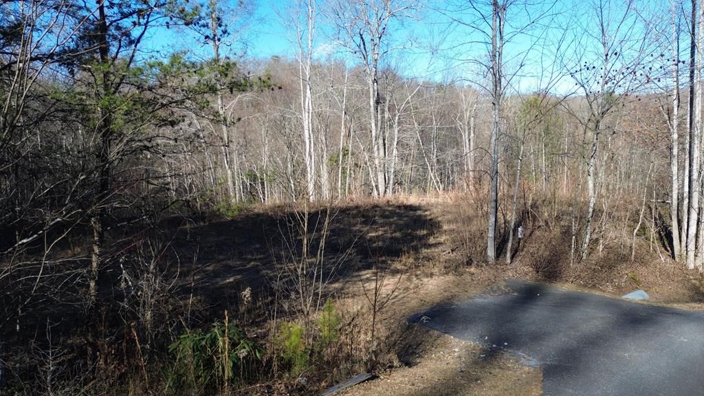 Photo of 138 Fairlane Loop, Whittier, NC 28789 (MLS # 26043075)