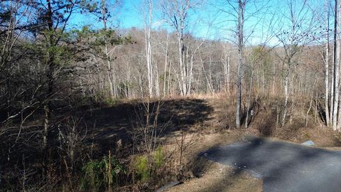 Photo of 138 Fairlane Loop, Whittier, NC 28789 (MLS # 26043075)