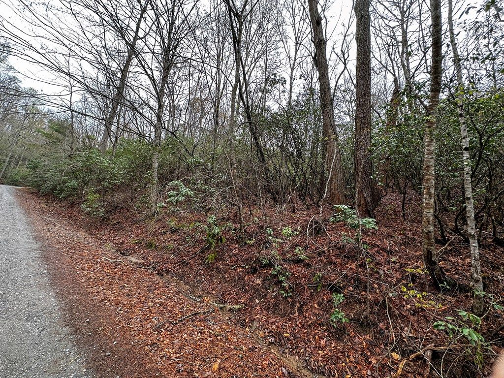 Photo of Lot 3 Tara Hills, Whittier, NC 28789 (MLS # 26040555)