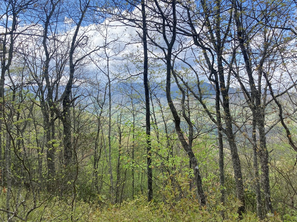 1474 Burningtown Falls Rd