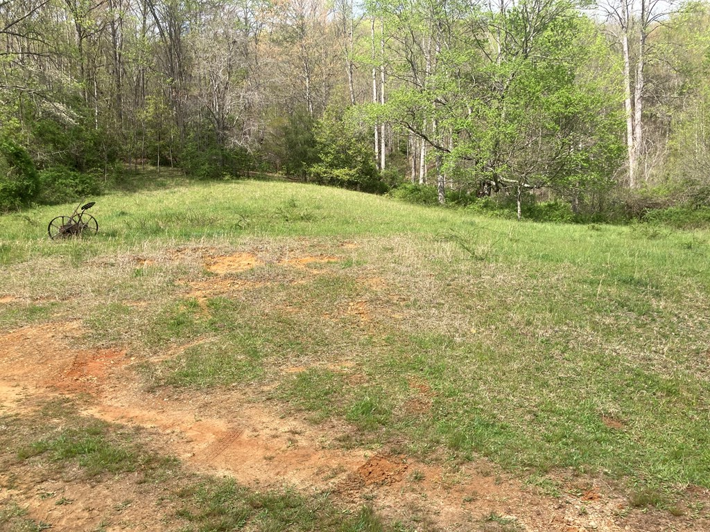 1474 Burningtown Falls Rd