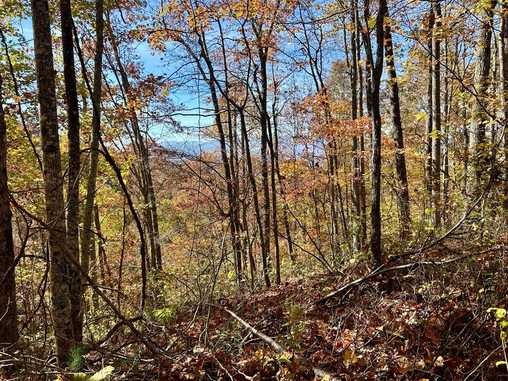 Photo of Lot 30 Owle View, Bryson City, NC 28713 (MLS # 26045425)