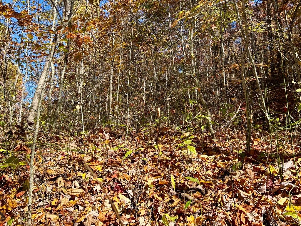 Photo of Lot 30 Owle View, Bryson City, NC 28713 (MLS # 26045425)