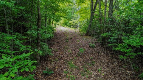 Featured picture for the property 26047586