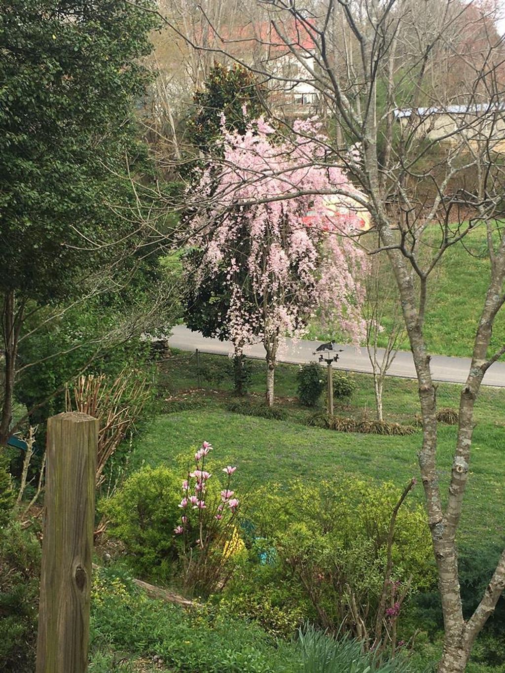 Photo of 29 Regal Ave, Sylva, NC 28779 (MLS # 26046851)