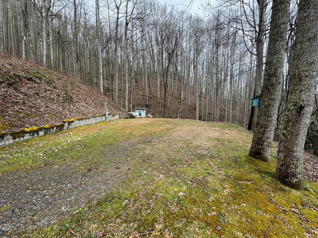 Photo of 636 Camp Branch Rd, Whittier, NC 28789 (MLS # 26041590)