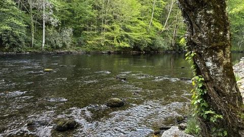 Photo of Lot 14 Mystic River Meadows Way, Bryson City, NC 28713 (MLS # 26047006)