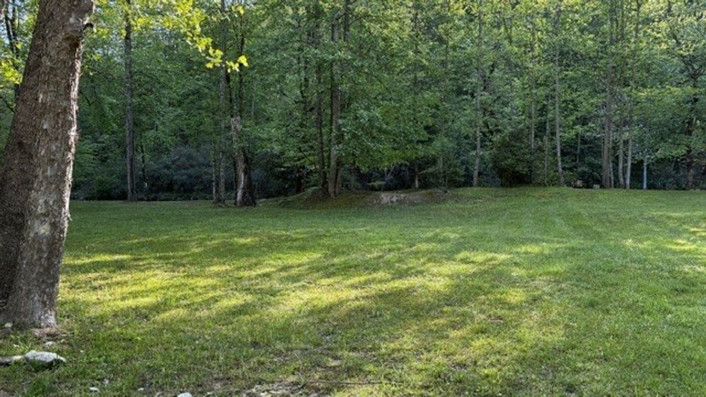 Photo of Lot 14 Mystic River Meadows Way, Bryson City, NC 28713 (MLS # 26047006)