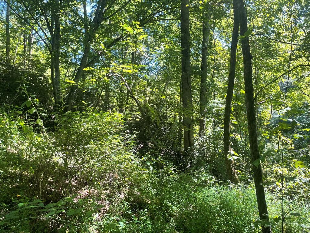 Photo of 489 Lands Creek, Bryson City, NC 28713 (MLS # 26041970)