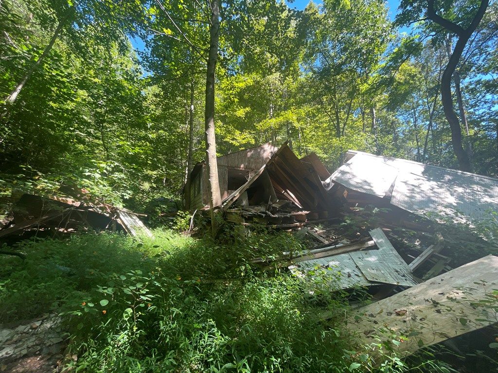 Photo of 489 Lands Creek, Bryson City, NC 28713 (MLS # 26041970)