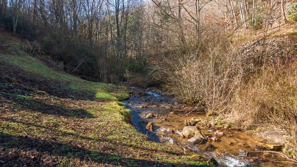Photo of 2506 Wayehutta Rd, Cullowhee, NC 28723 (MLS # 26043039)