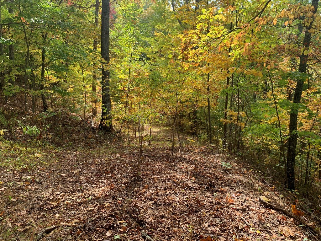Bryson City, North Carolina 28713, United States, ,Land,Active,54821