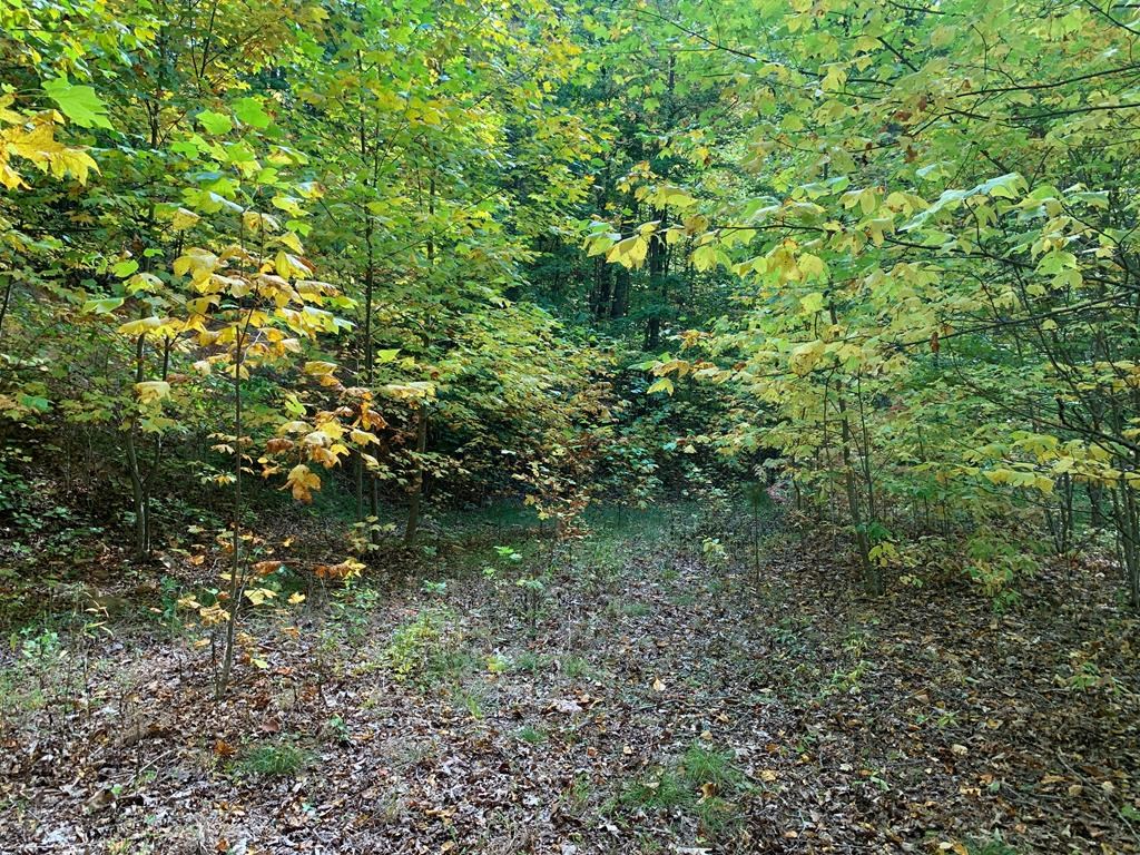 Bryson City, North Carolina 28713, United States, ,Land,Active,54821