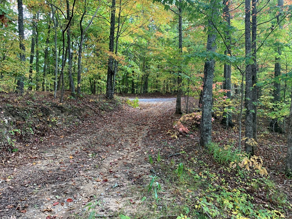 Bryson City, North Carolina 28713, United States, ,Land,Active,54821