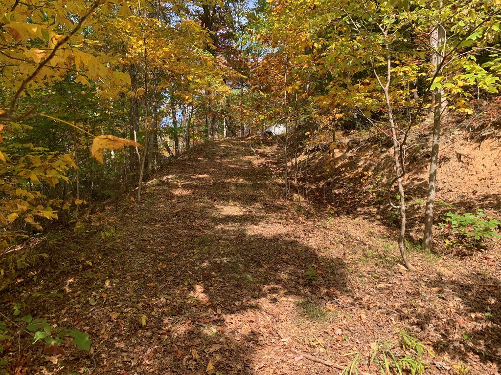 Bryson City, North Carolina 28713, United States, ,Land,Active,54821