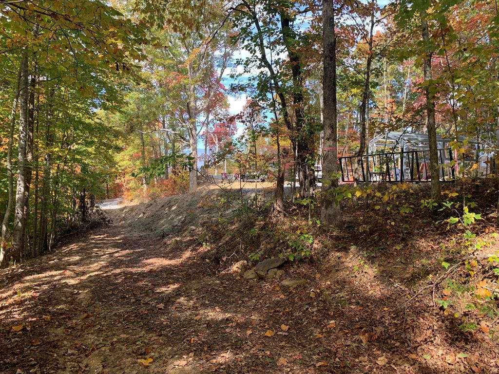 Bryson City, North Carolina 28713, United States, ,Land,Active,54821