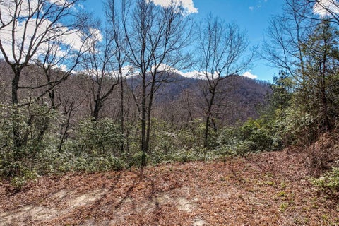 Photo of Lot 51 Highlands Pass, Franklin, NC 28734 (MLS # 26048637)