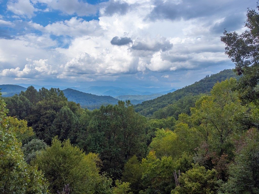 Photo of 831 Forest Run Rd, Whittier, NC 28789 (MLS # 26042236)
