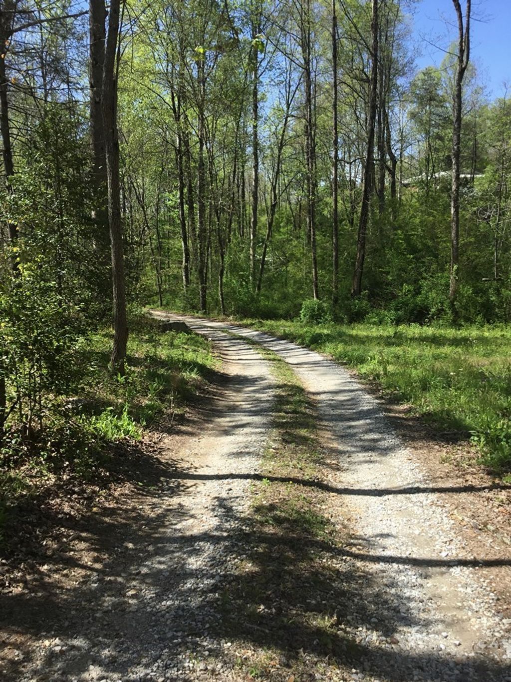 Photo of 10 Oak Grove Road, Bryson City, NC 28713 (MLS # 26019340)