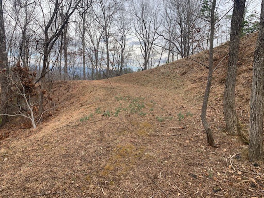 Photo of Lot 14 Fontana Ridge Rd, Bryson City, NC 28713 (MLS # 26040163)