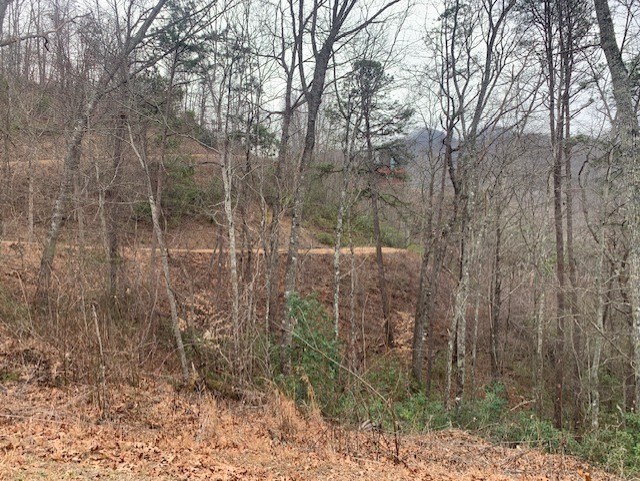 Bryson City, North Carolina 28713, United States, ,Land,Active,85061