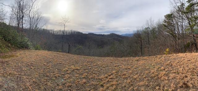 Bryson City, North Carolina 28713, United States, ,Land,Active,85061