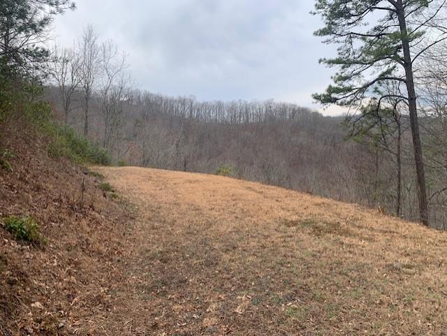 Bryson City, North Carolina 28713, United States, ,Land,Active,85061