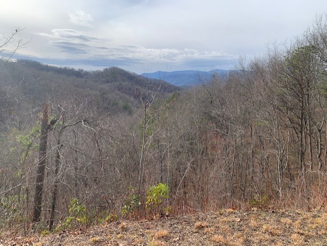 Bryson City, North Carolina 28713, United States, ,Land,Active,85061