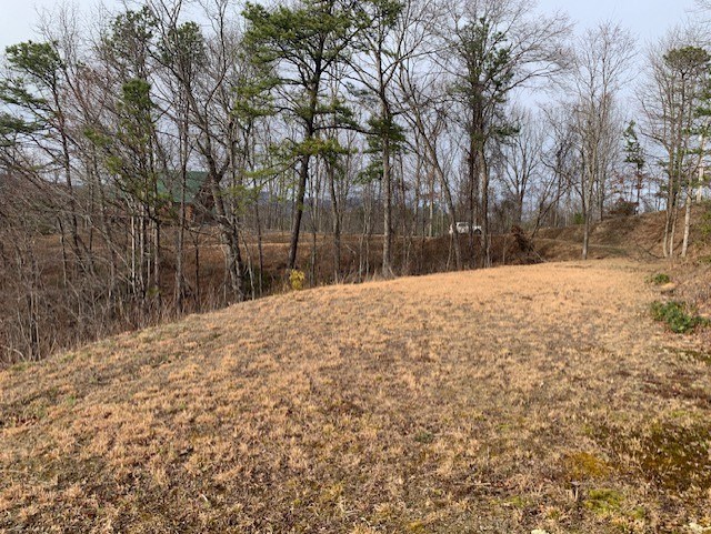 Bryson City, North Carolina 28713, United States, ,Land,Active,85061