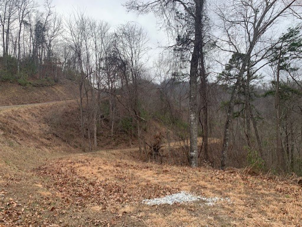 Photo of Lot 14 Fontana Ridge Rd, Bryson City, NC 28713 (MLS # 26040163)