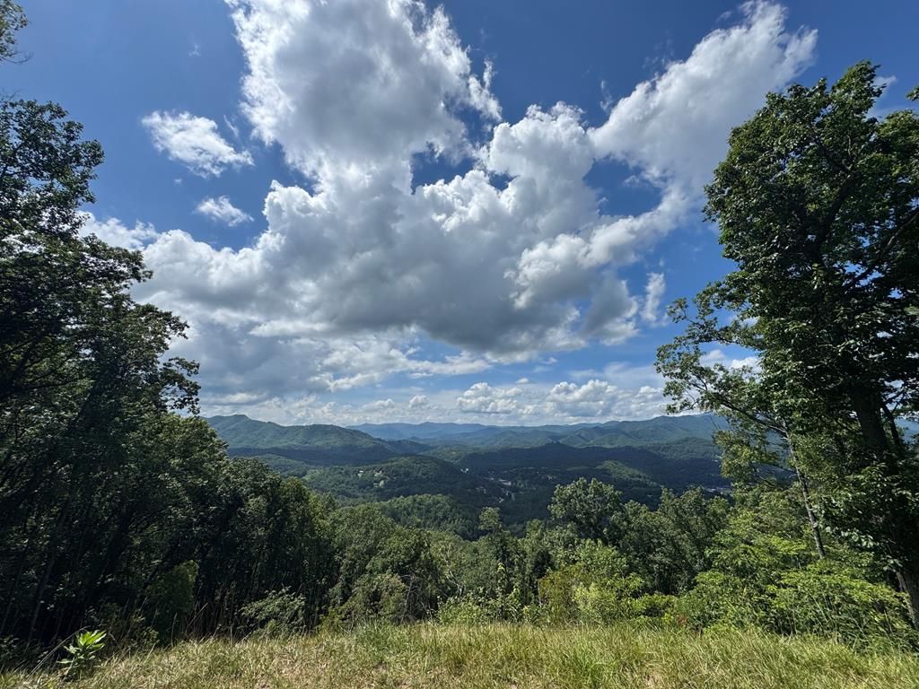 Photo of 0 Breedlove Rd, Bryson City, NC 28713 (MLS # 26039786)
