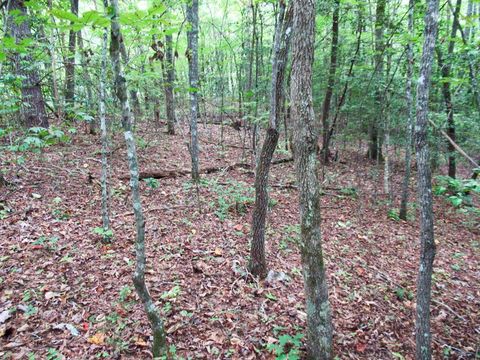 Photo of 00 Mountain Circle, Franklin, NC 28734 (MLS # 26037001)
