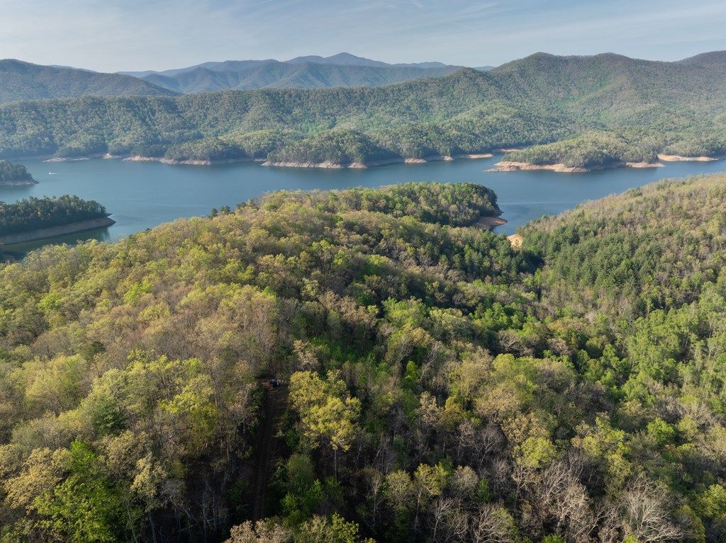 Photo of 8888 Yellow Branch Road, Robbinsville (Graham), NC 28771 (MLS # 26046958)