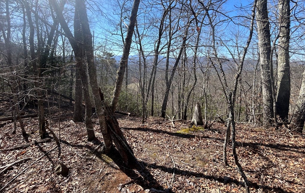 Photo of Top of Parris Field Rd - Lot 39, Bryson City, NC 28713 (MLS # 26047753)