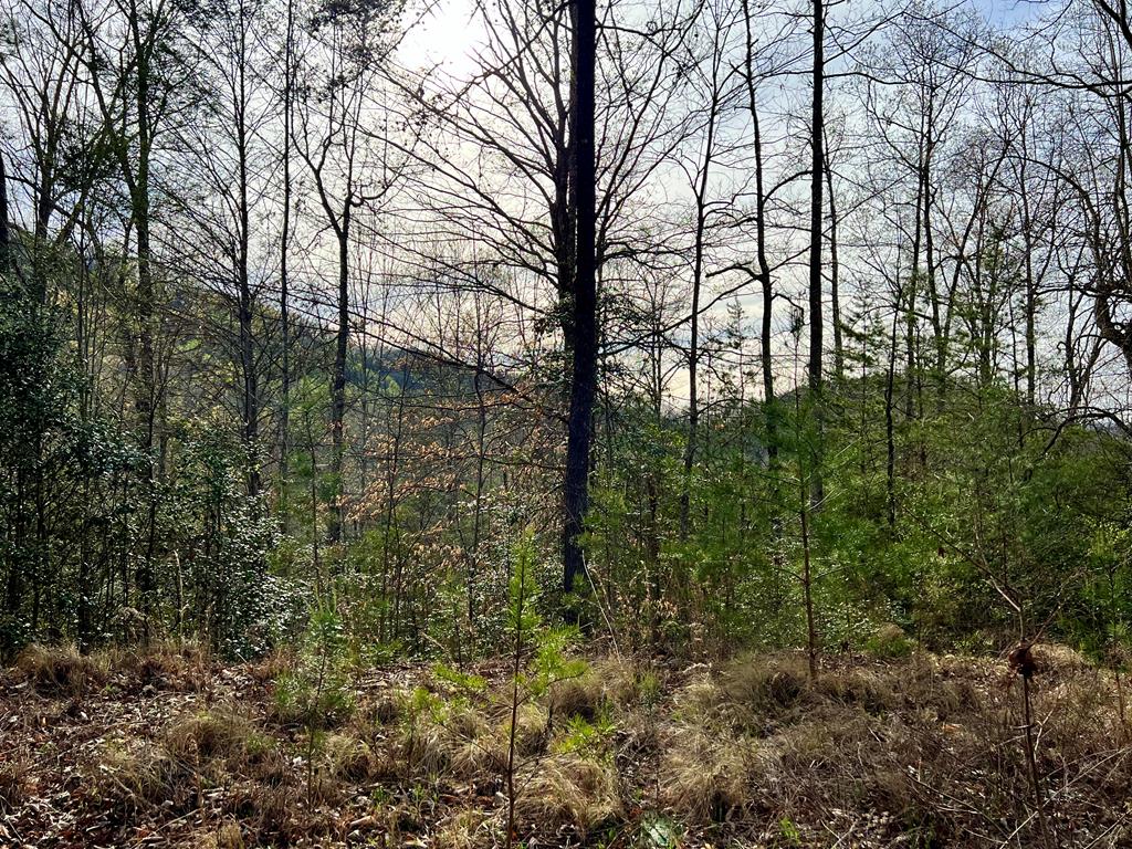 Lot 182 Lupine Lane