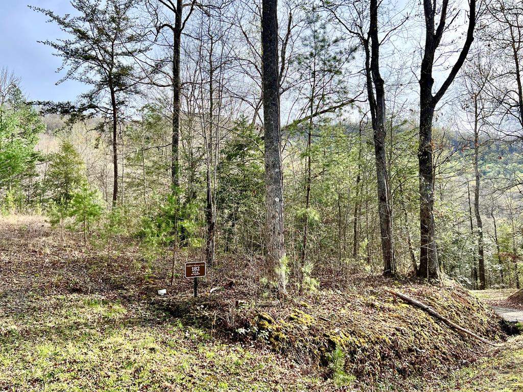 Lot 182 Lupine Lane
