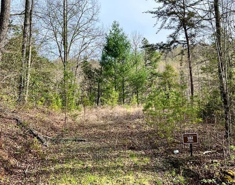 Photo of Lot 182 Lupine Lane, Franklin, NC 28734 (MLS # 26047139)