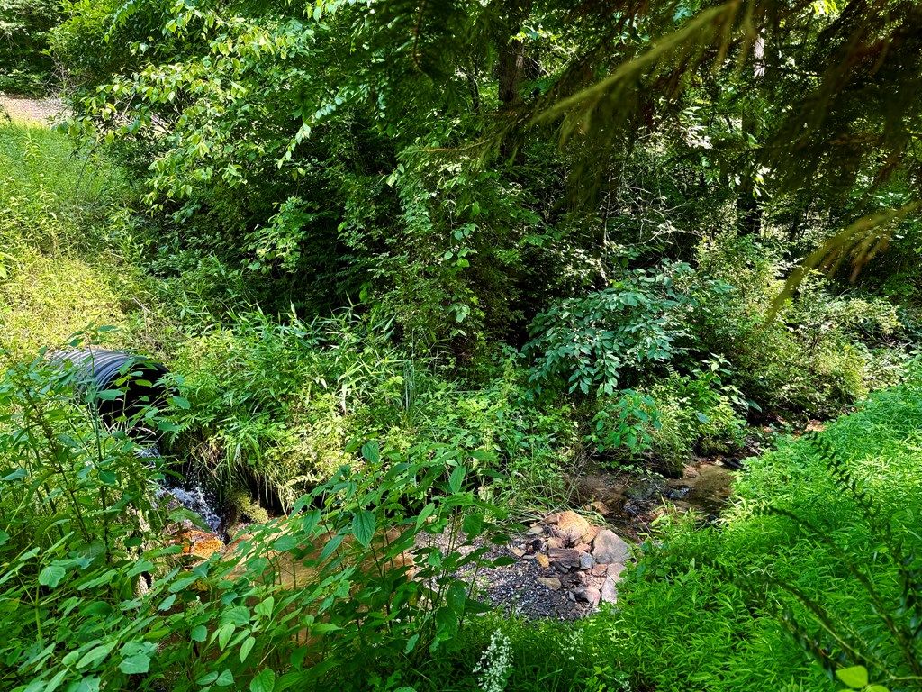 Photo of 0 Bradley Branch Road, Whittier, NC 28789 (MLS # 26041353)