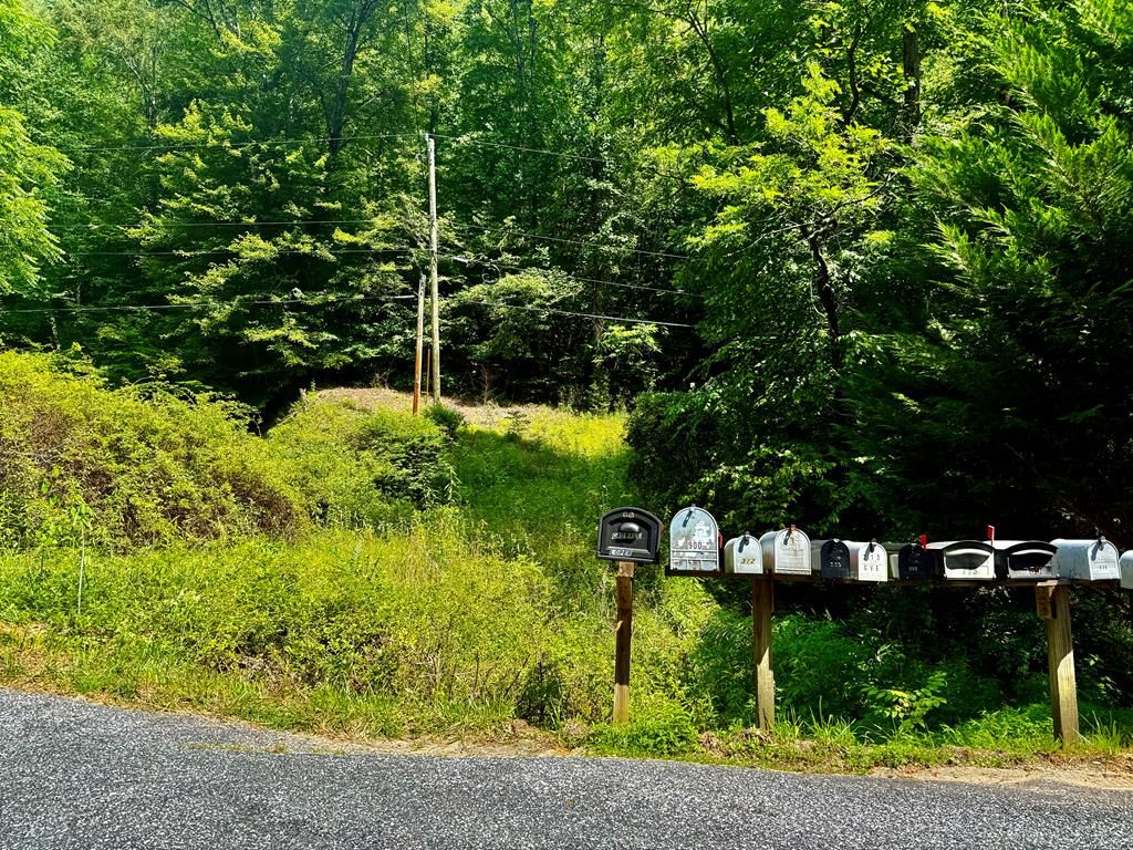 Photo of 0 Bradley Branch Road, Whittier, NC 28789 (MLS # 26041353)