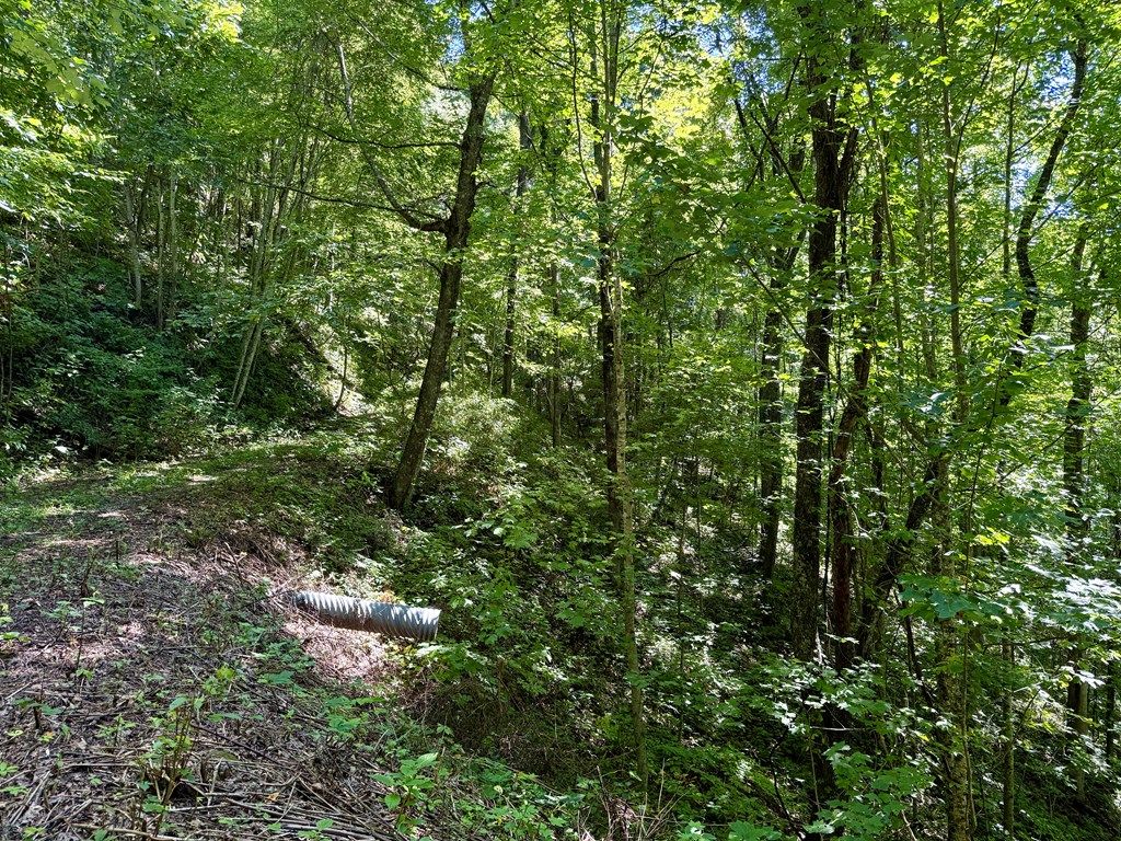 Photo of 0 Turkey Ridge Run, Bryson City, NC 28713 (MLS # 26042023)