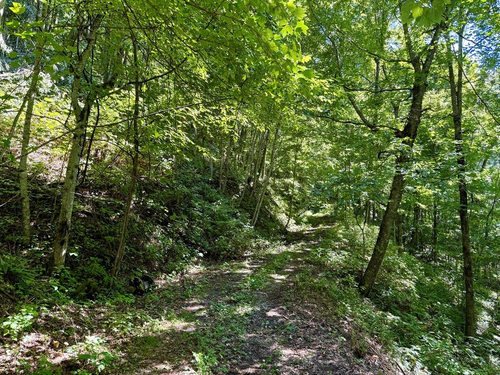 Photo of 0 Turkey Ridge Run, Bryson City, NC 28713 (MLS # 26042023)
