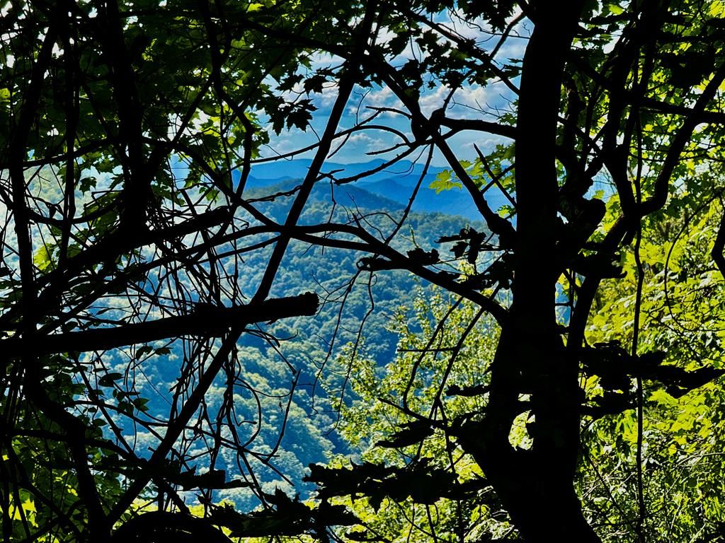 Photo of 0 Turkey Ridge Run, Bryson City, NC 28713 (MLS # 26042023)