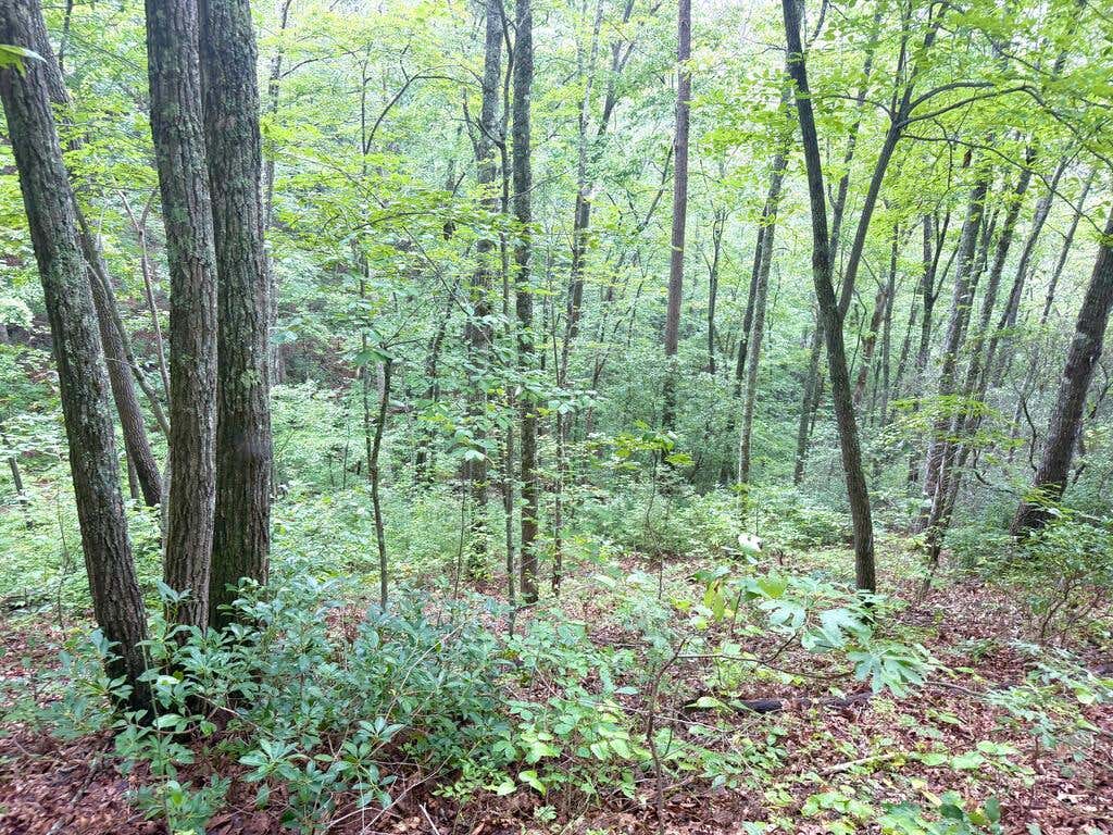 Photo of 4354 Yellow Creek Road, Robbinsville, NC 28771 (MLS # 26048172)