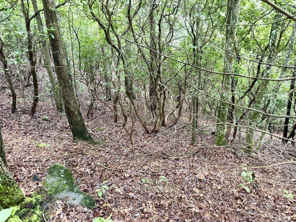 Photo of 4354 Yellow Creek Road, Robbinsville, NC 28771 (MLS # 26048172)