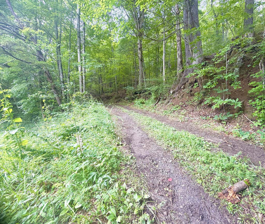 Photo of 4354 Yellow Creek Road, Robbinsville, NC 28771 (MLS # 26048172)
