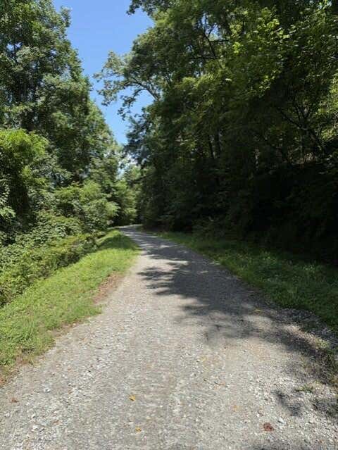 Photo of 650 Windsong Mountain Dr, Franklin, NC 28734 (MLS # 26048182)