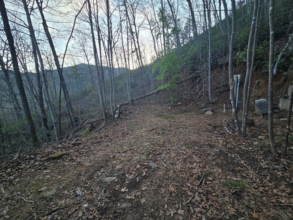 Photo of Lt 14 Tuts Terrace, Sylva, NC 28779 (MLS # 26040784)