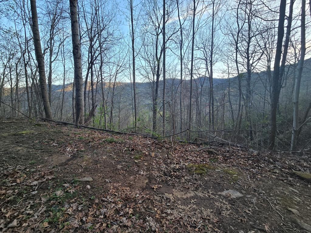 Photo of Lt 14 Tuts Terrace, Sylva, NC 28779 (MLS # 26040784)