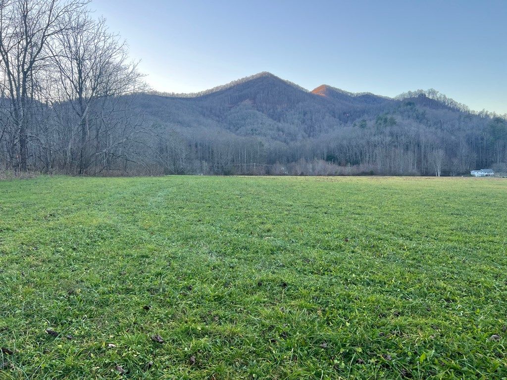 Photo of 00 Cody Branch, Robbinsville (Graham), NC 28771 (MLS # 26042757)