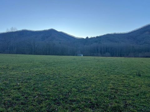 Photo of 00 Cody Branch, Robbinsville (Graham), NC 28771 (MLS # 26042757)